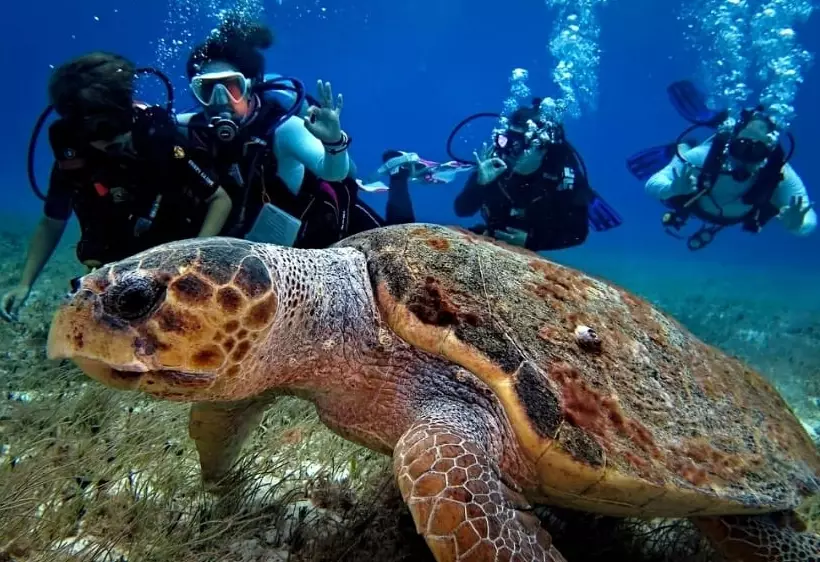 Caribbean scuba diving destinations