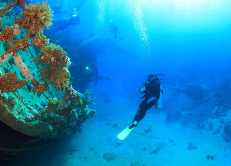 best dive sites Philippines