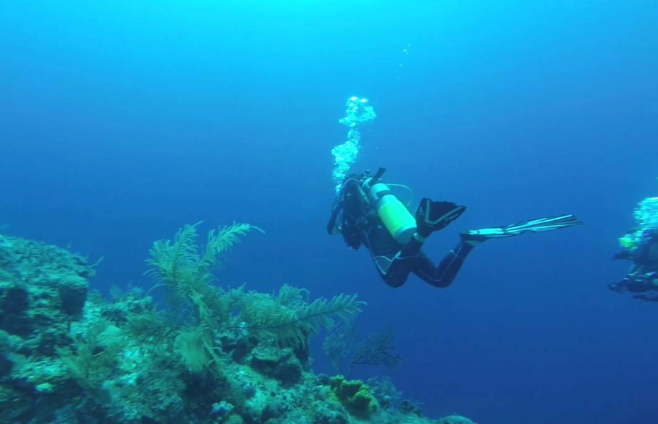 Grace Bay diving Grace Bay diving