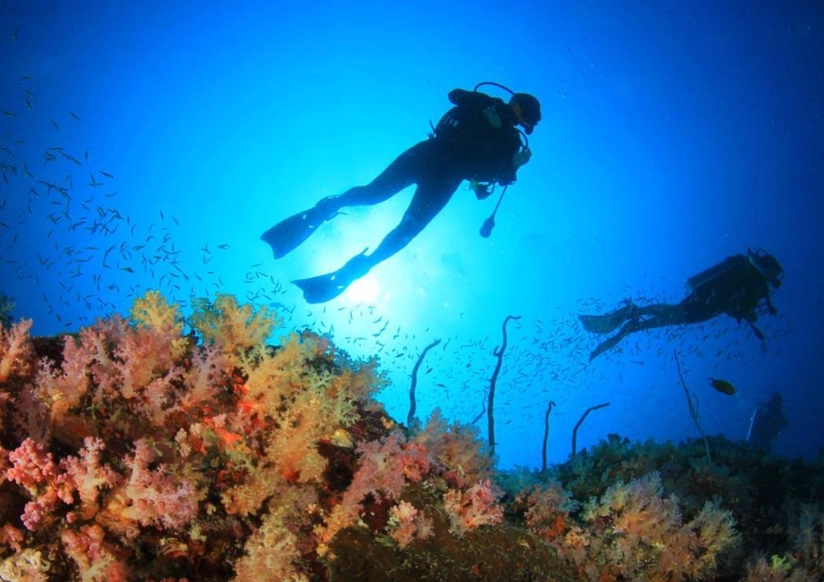 Philippines dive sites Philippines dive sites