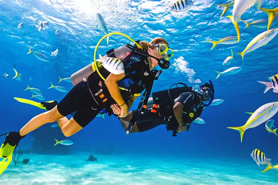 beginner scuba diving spots