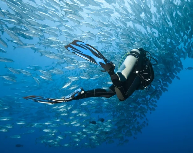 Philippines dive sites for beginners