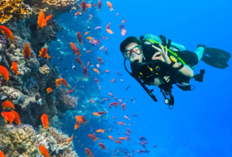 Philippines dive sites Philippines dive sites