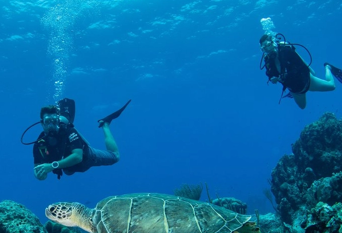 diving Providenciales diving Providenciales