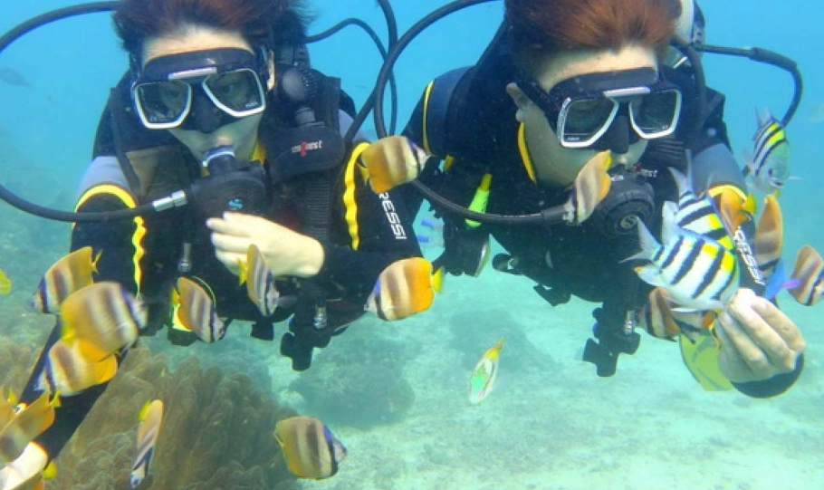 learn to dive Philippines