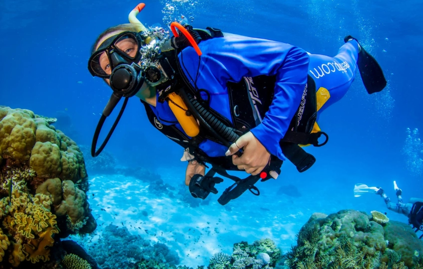 winter scuba diving destinations