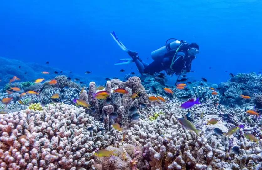 dry season diving Philippines dry season diving Philippines