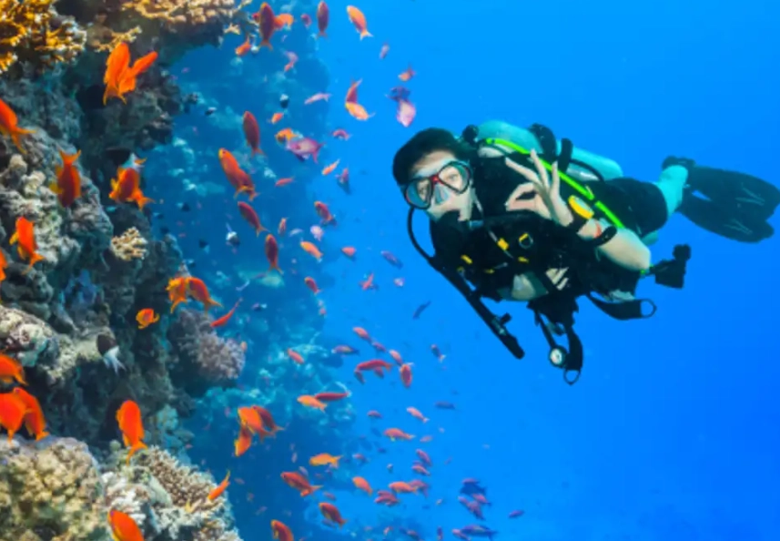 Philippines diving places for beginners