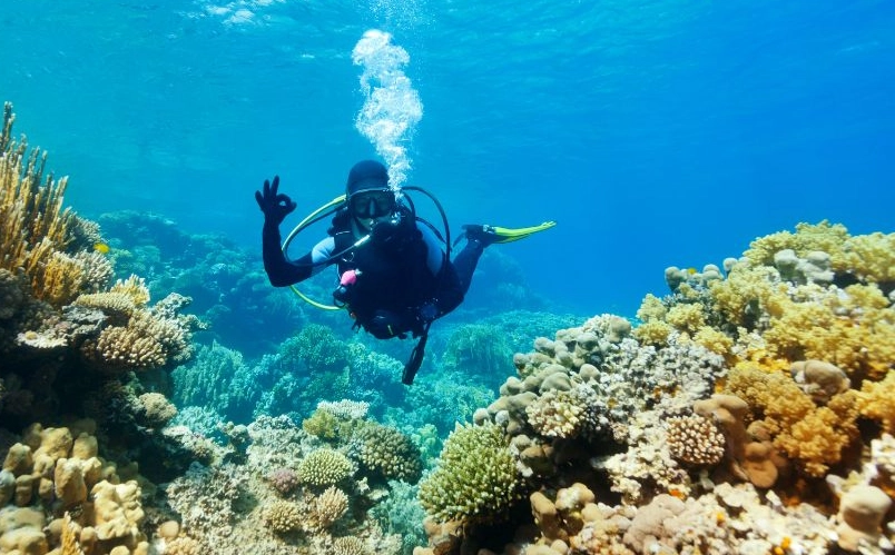 best time to scuba dive Philippines