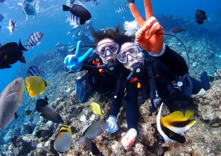 holiday season scuba diving