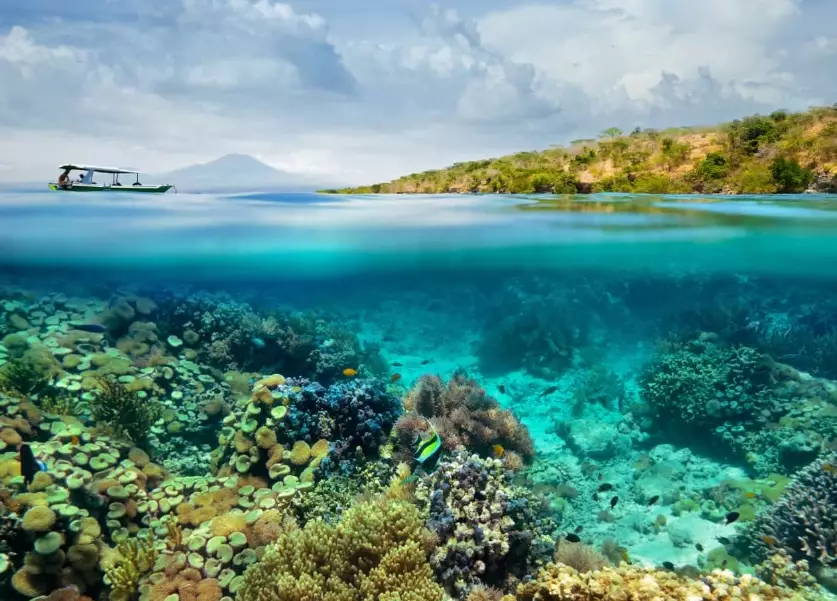 Philippines diving spots