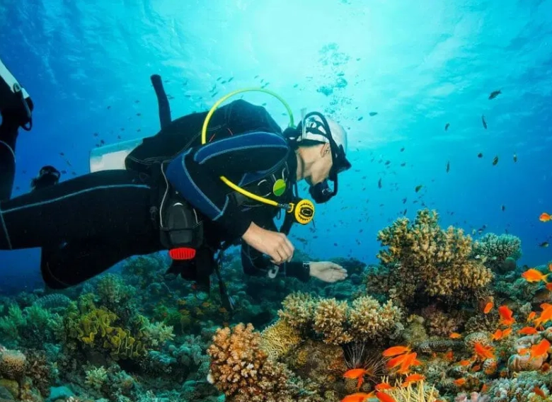 scuba diving Philippines scuba diving Philippines