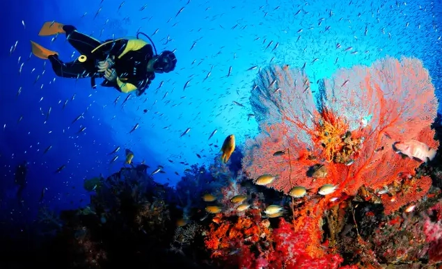 Can we do scuba diving in December?