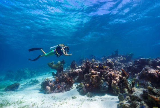 Turks and Caicos diving Turks and Caicos diving