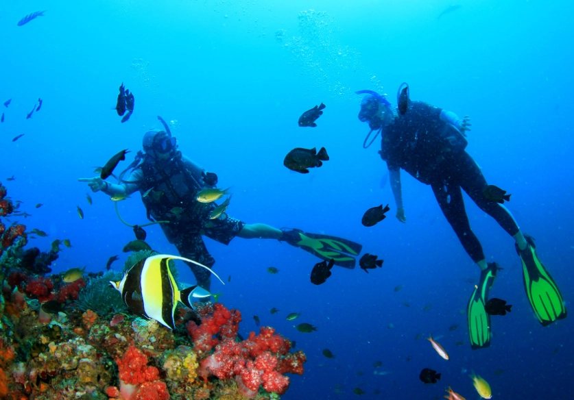 best diving Philippines best diving Philippines