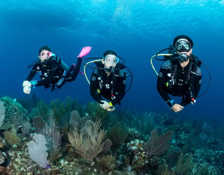 best diving in October