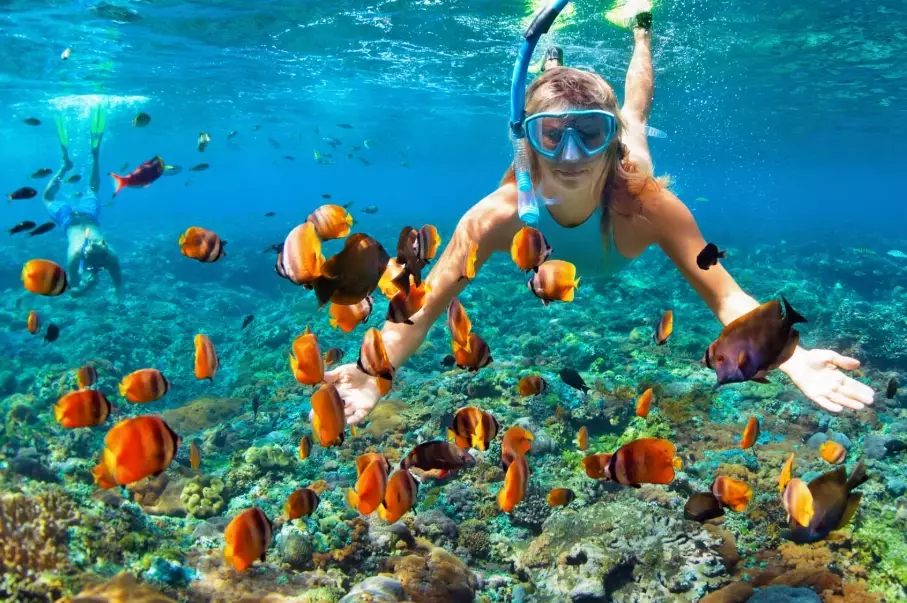 New York City scuba day trips New York City scuba day trips