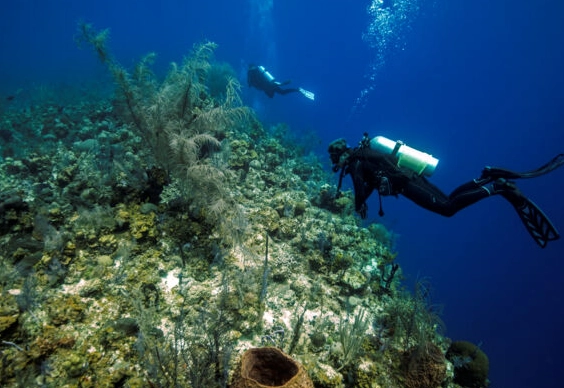dive sites Turks and Caicos