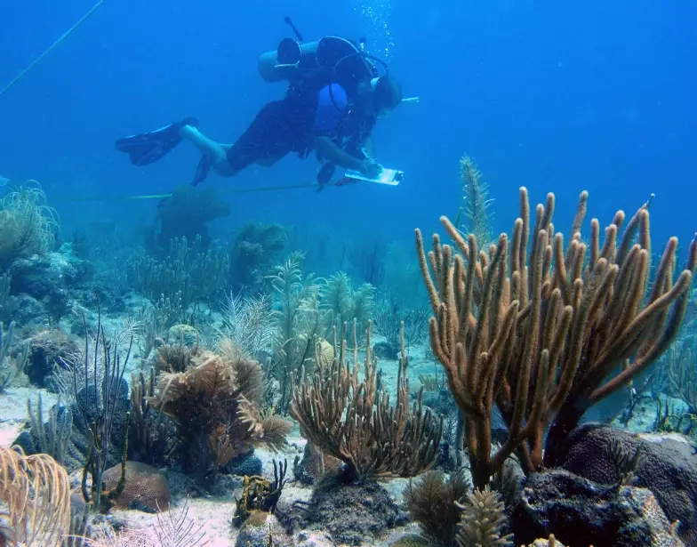 clearest scuba diving water clearest scuba diving water