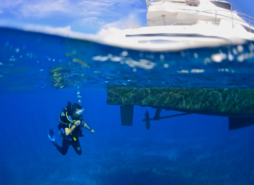 dive sites Turks and Caicos