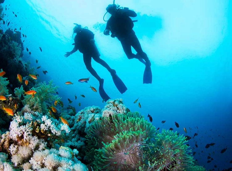 Long Island wreck diving Long Island wreck diving