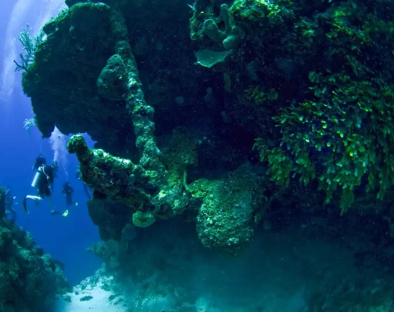 dive sites Turks and Caicos