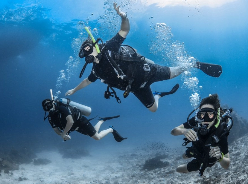 when to dive Moalboal when to dive Moalboal