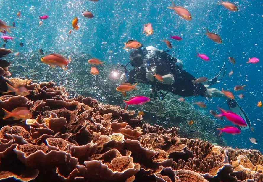 Philippines diving spots