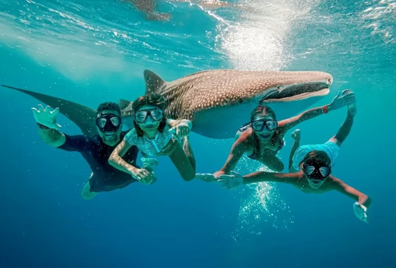 Cebu diving season Cebu diving season