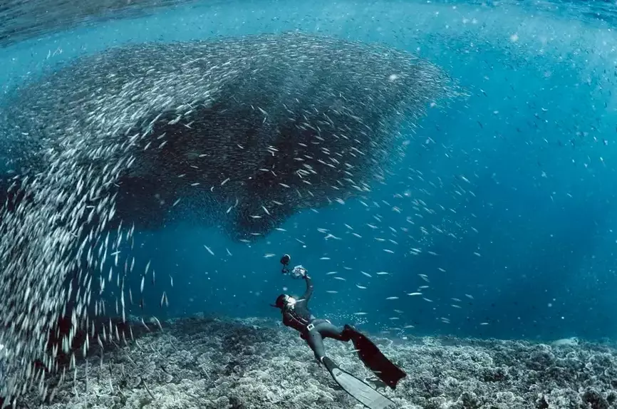 Where is the diving capital of the Philippines?