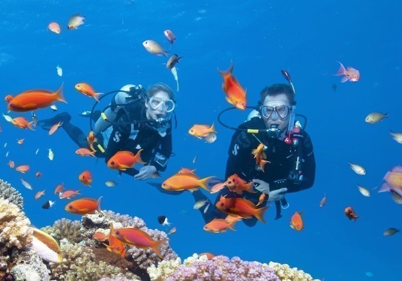 UNESCO dive site Philippines