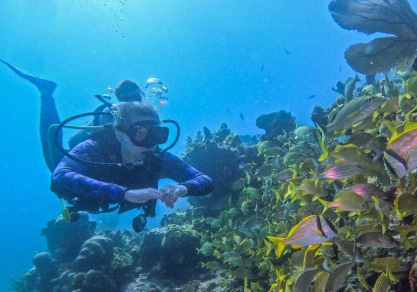 Cabo San Lucas diving Cabo San Lucas diving