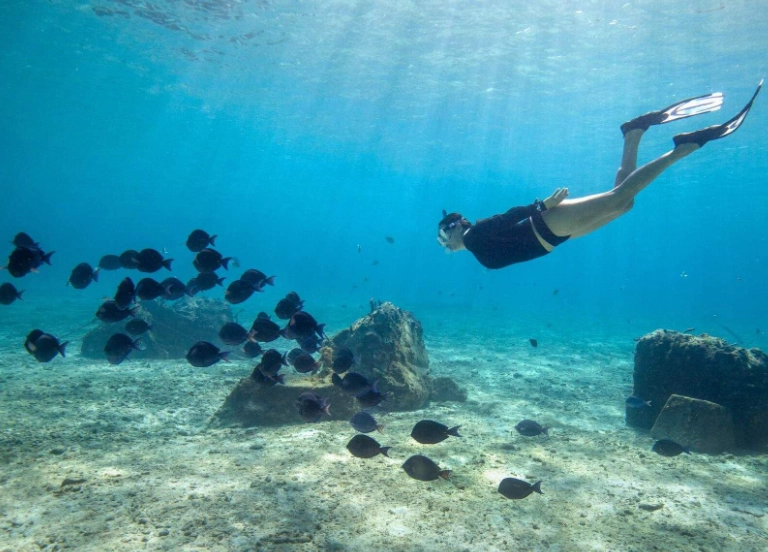 Cenote diving Mexico Cenote diving Mexico