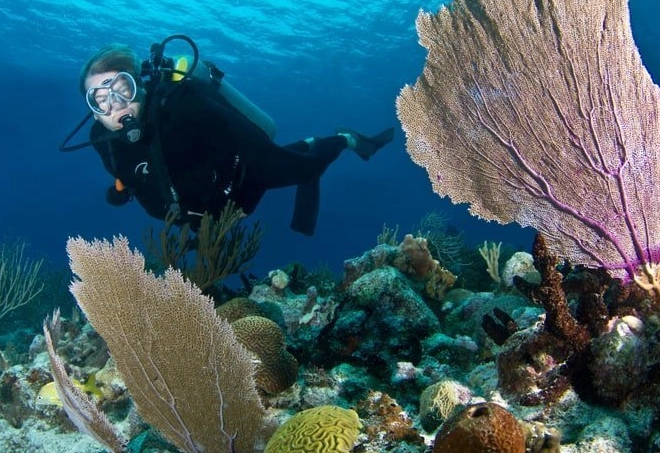 cenote diving Mexico