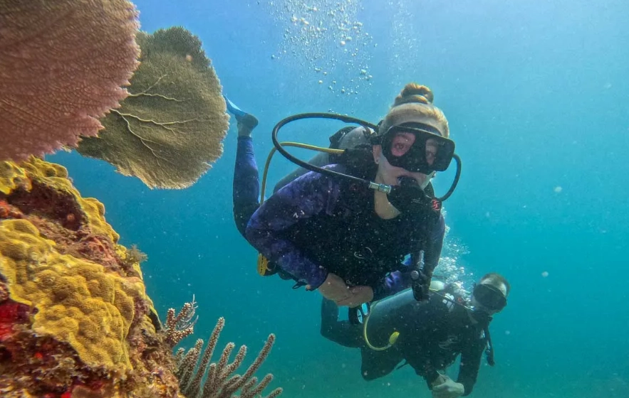 Mexico dive sites Mexico dive sites