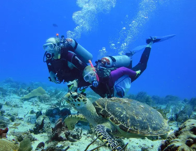 scuba diving Cozumel