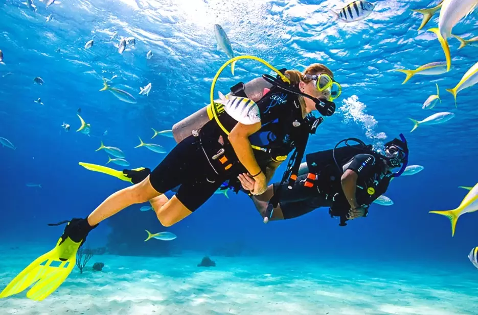 What are the months for scuba diving?