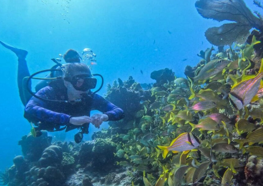 Cozumel diving Cozumel diving