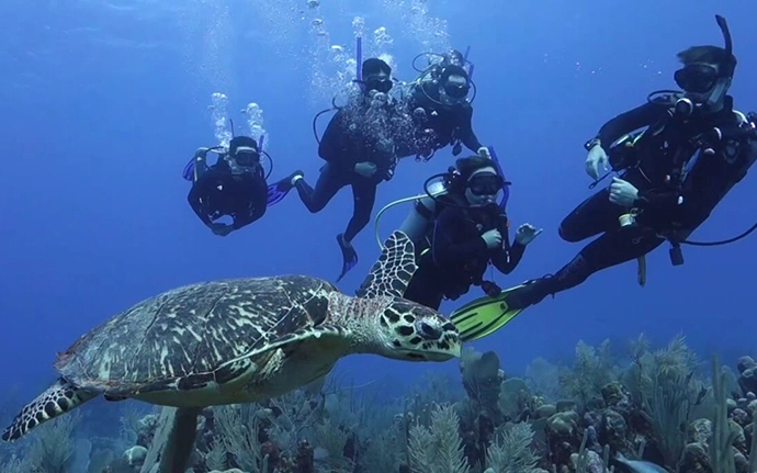 Cenote diving Mexico Cenote diving Mexico