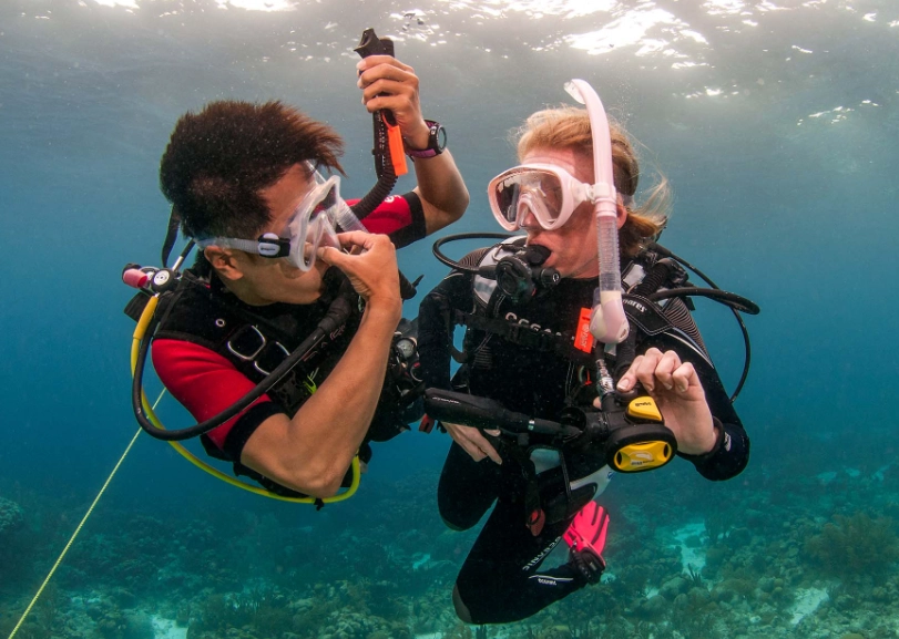 scuba diving seasons scuba diving seasons