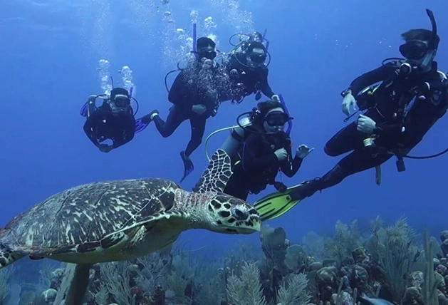 Mexico dive sites Mexico dive sites