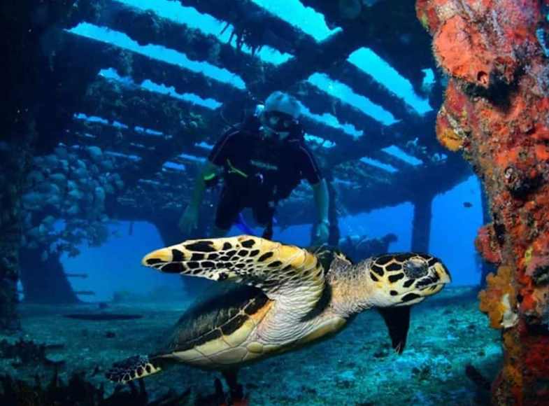scuba diving Cancun