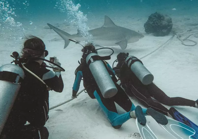 Playa del Carmen diving