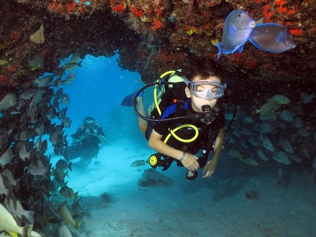 Playa del Carmen diving