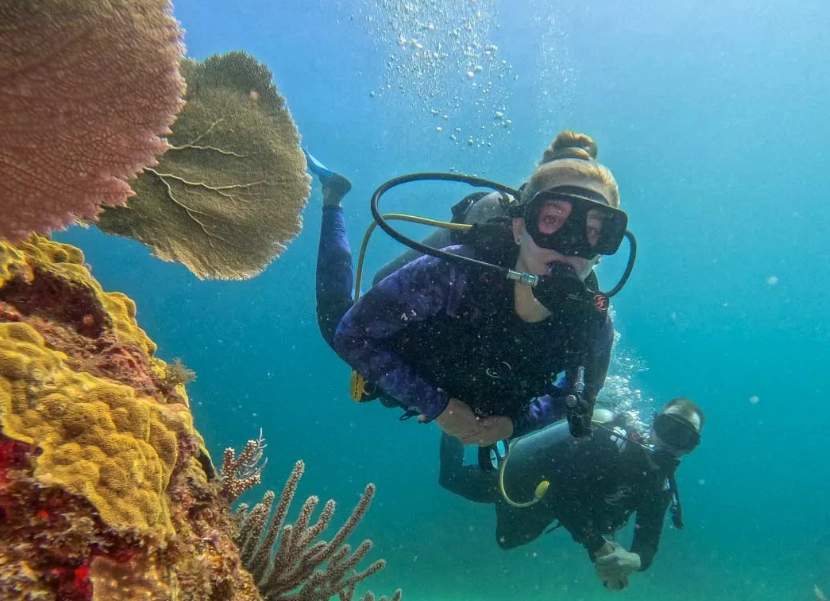 Is mexico good for scuba diving for beginners