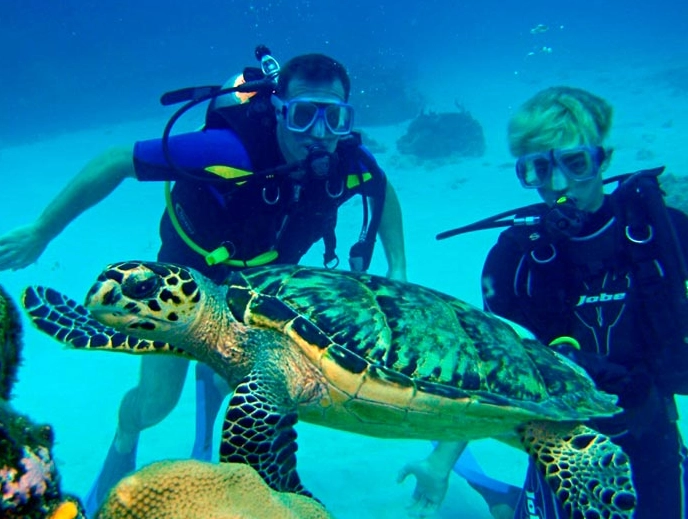 best scuba diving Cancun best scuba diving Cancun