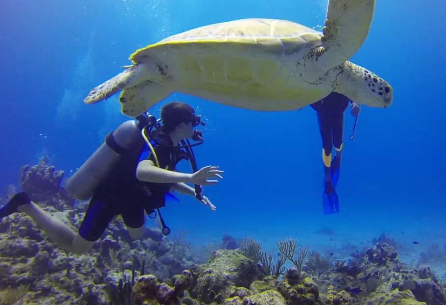 best cenote diving for beginners