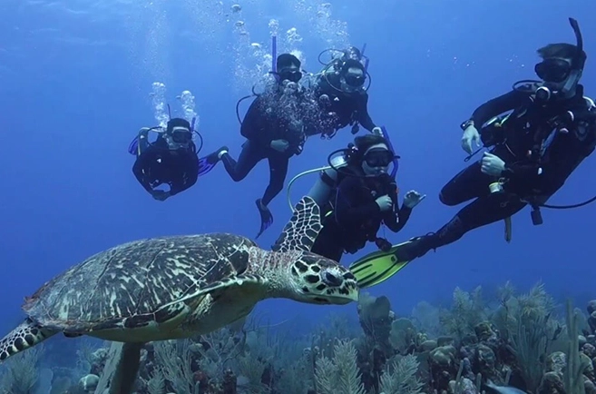 scuba diving Mexico Caribbean scuba diving Mexico Caribbean