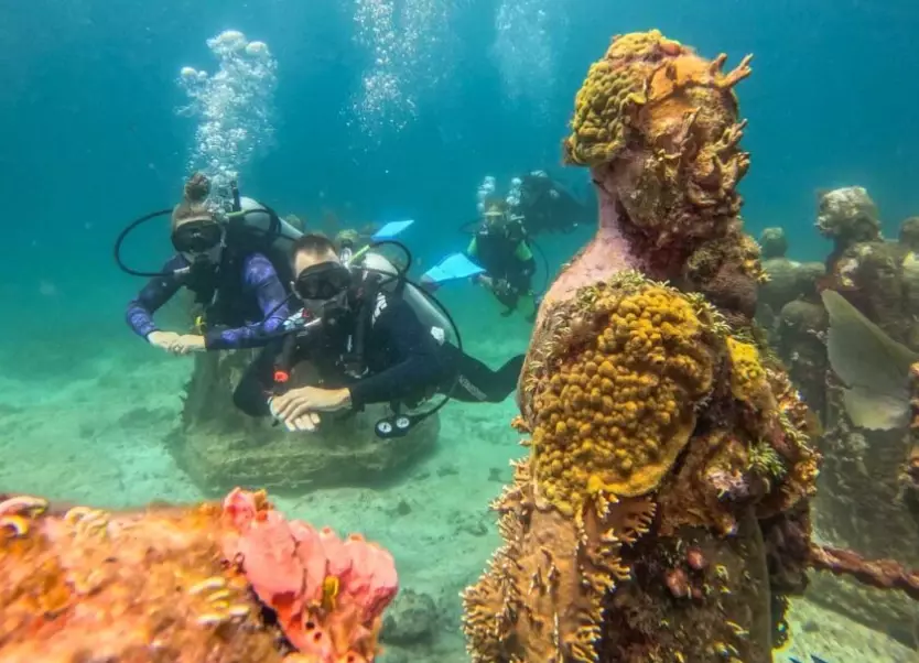beginner dive sites mexico