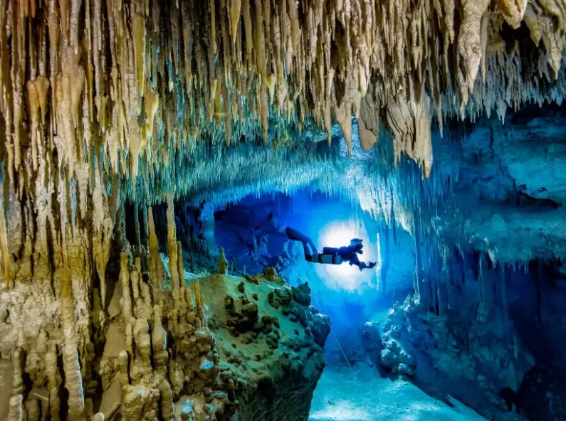 best diving spots Mexico best diving spots Mexico